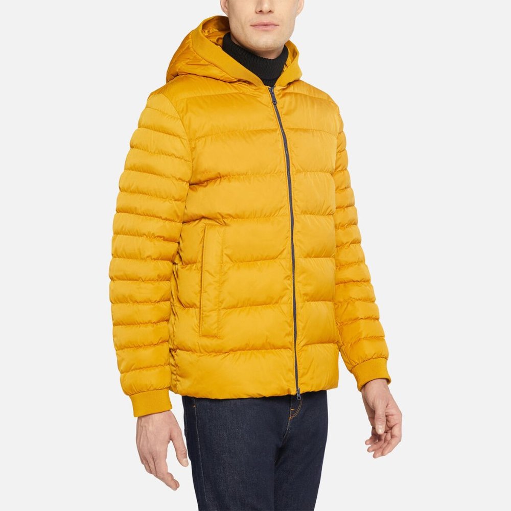 GEOX: Colbyn Hood Jacket - Chai Tea - Picture 4 of 14